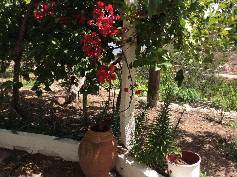 La Villa Di Zazopetra Menetaí 외부 사진