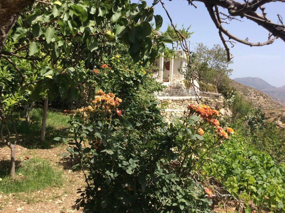 La Villa Di Zazopetra Menetaí 외부 사진