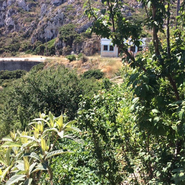 La Villa Di Zazopetra Menetaí 외부 사진