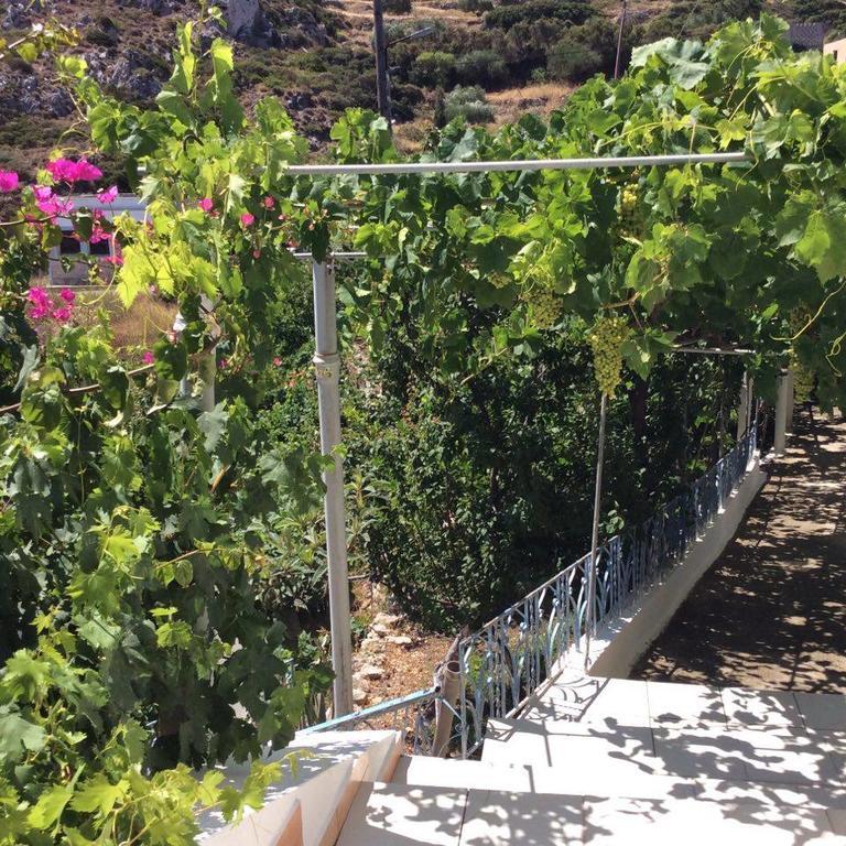 La Villa Di Zazopetra Menetaí 외부 사진
