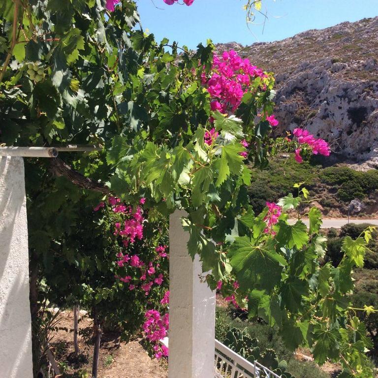 La Villa Di Zazopetra Menetaí 외부 사진