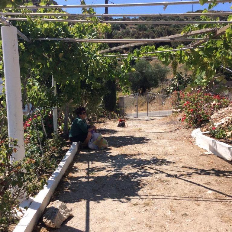 La Villa Di Zazopetra Menetaí 외부 사진