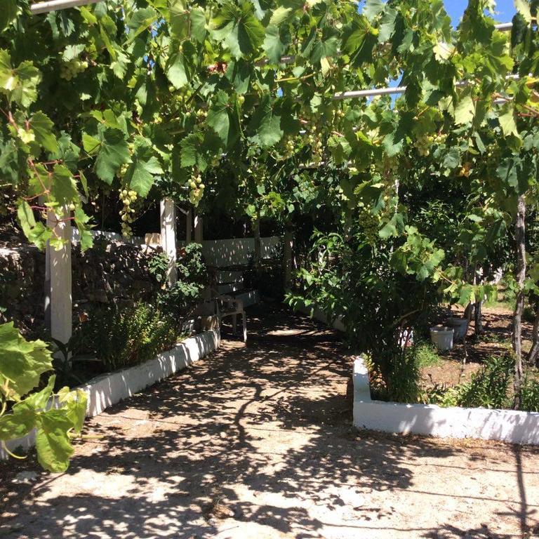 La Villa Di Zazopetra Menetaí 외부 사진