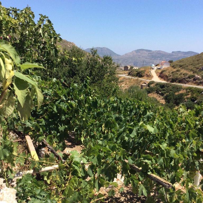 La Villa Di Zazopetra Menetaí 외부 사진