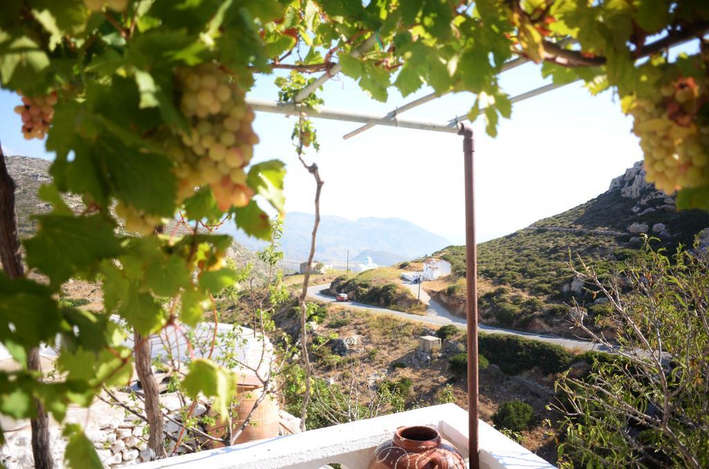 La Villa Di Zazopetra Menetaí 외부 사진
